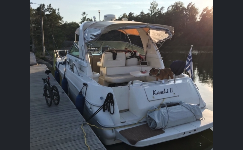Sea Ray 310-kuva-15